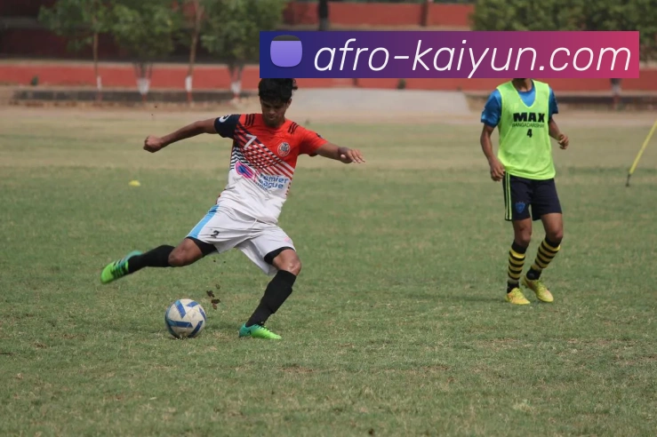 开云官网服务体系